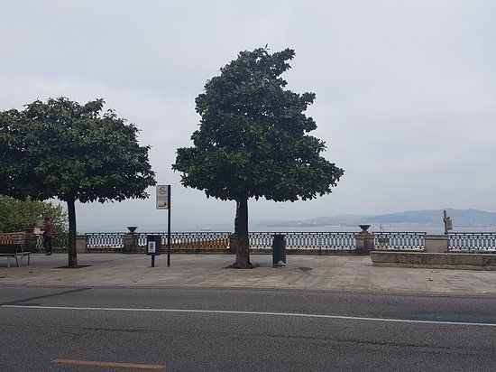 el Paseo de Alfonso XII